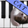 Cat Piano Free - Play a piano with kitten voice