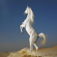 Horses Wallpapers