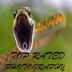 Top Rated Photography